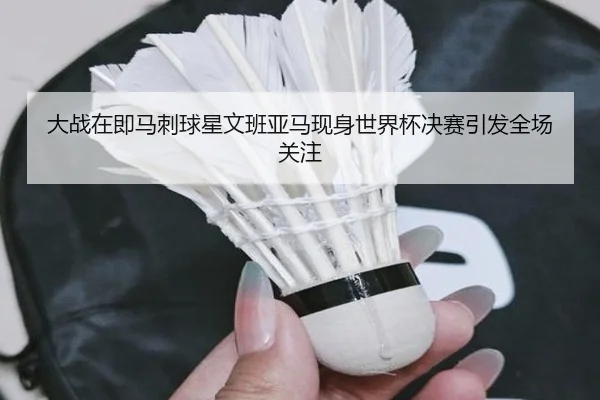 大战在即马刺球星文班亚马现身世界杯决赛引发全场关注